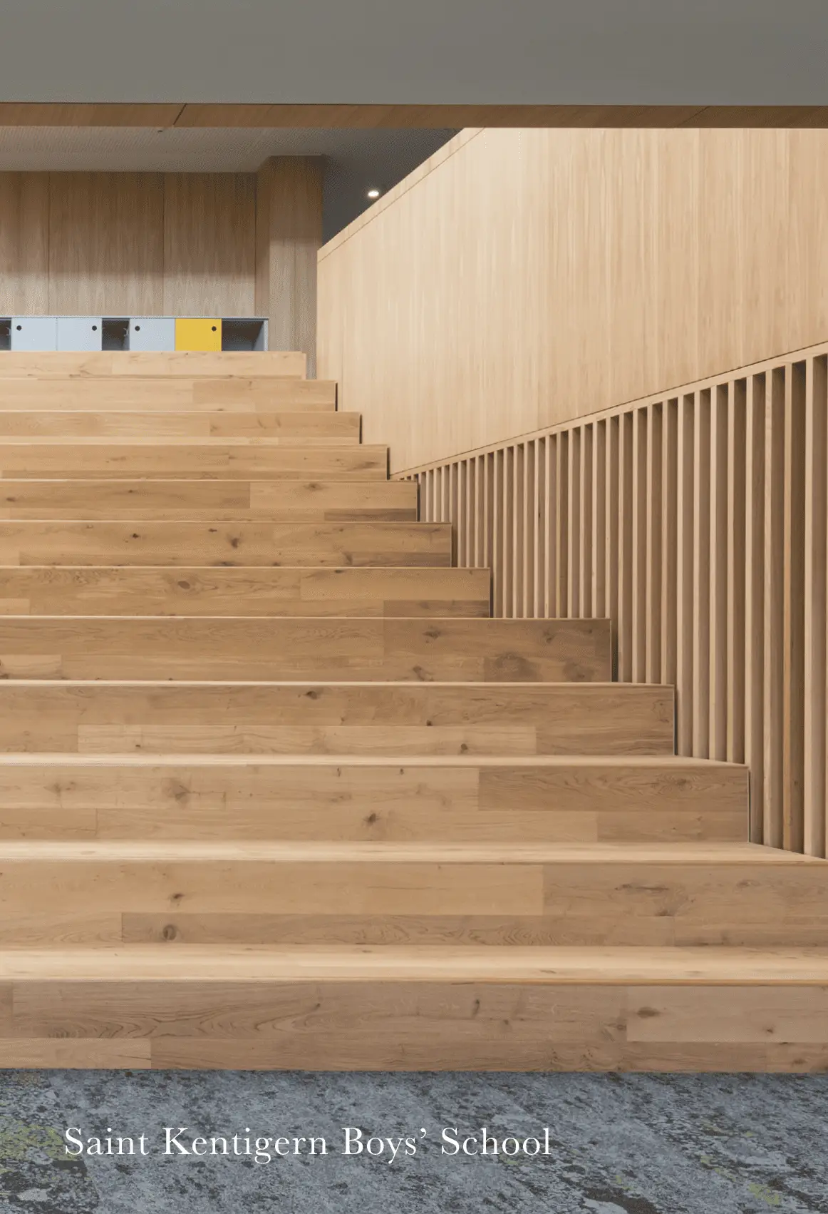 School interior with timber detailing and open learning spaces