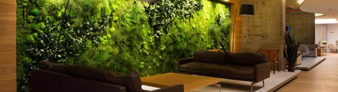 Biophilic Design | Outline Design